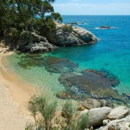 Rustic Les Corts Del Mas Virrei Σπίτι διακοπών *