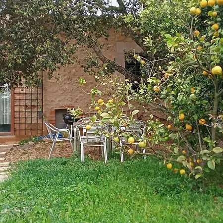 Rustic Les Corts Del Mas Virrei 度假居 *